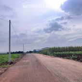 Cần Bán Đất Đông Thanh 350m², Mặt Đường Nhựa 8m, View Nam Ban, Đất Bằng Phẳng